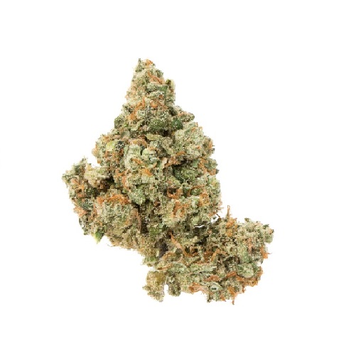 Jack-Herer.jpg